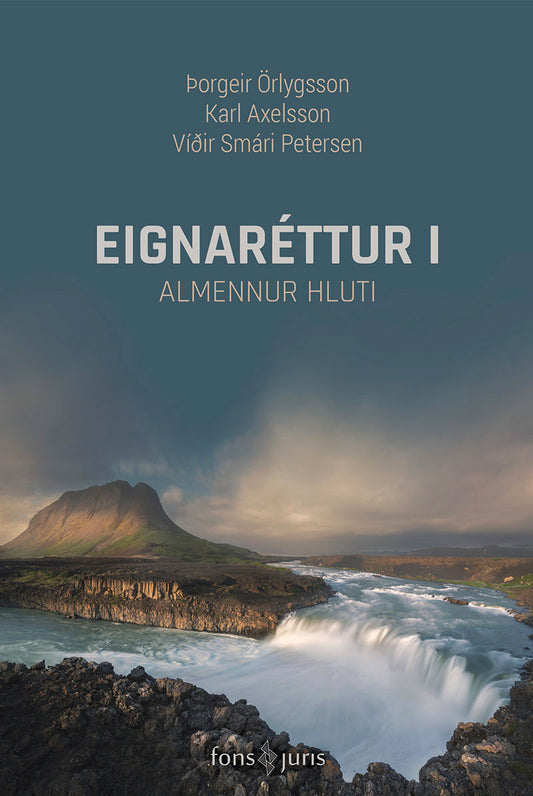 Eignaréttur I
